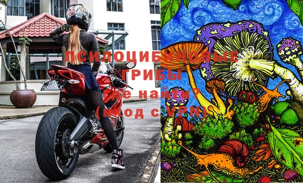 spice Абаза