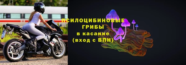 spice Абаза