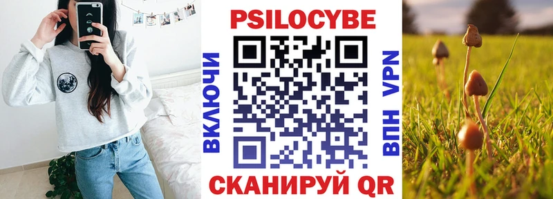 Галлюциногенные грибы GOLDEN TEACHER  цены   Богородицк 