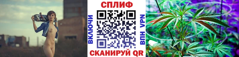 купить наркотик  Богородицк  Бошки Шишки сатива 